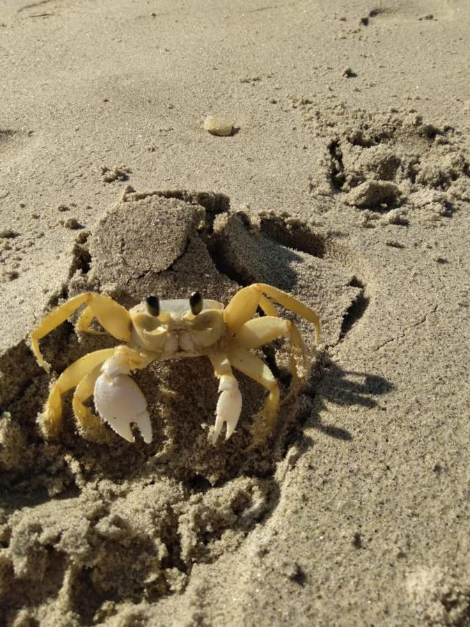 Varanda Suspensa Em Sao Sebastiao. 아파트 외부 사진